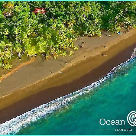 Ocean Forest Ecolodge San Pedrillo المظهر الخارجي الصورة
