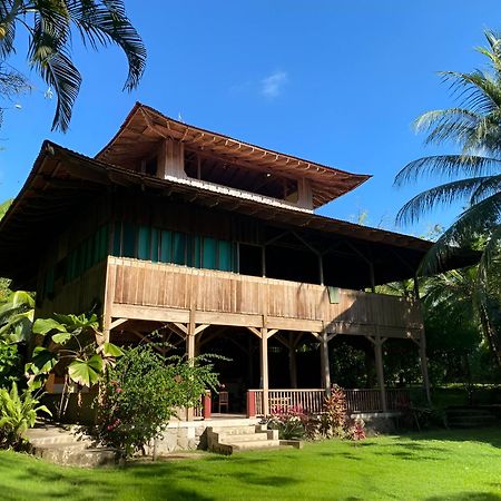 Ocean Forest Ecolodge San Pedrillo المظهر الخارجي الصورة