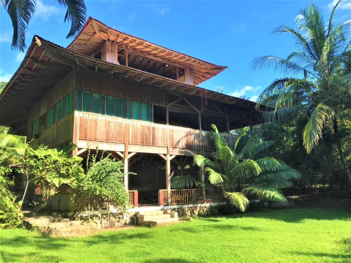 Ocean Forest Ecolodge San Pedrillo المظهر الخارجي الصورة