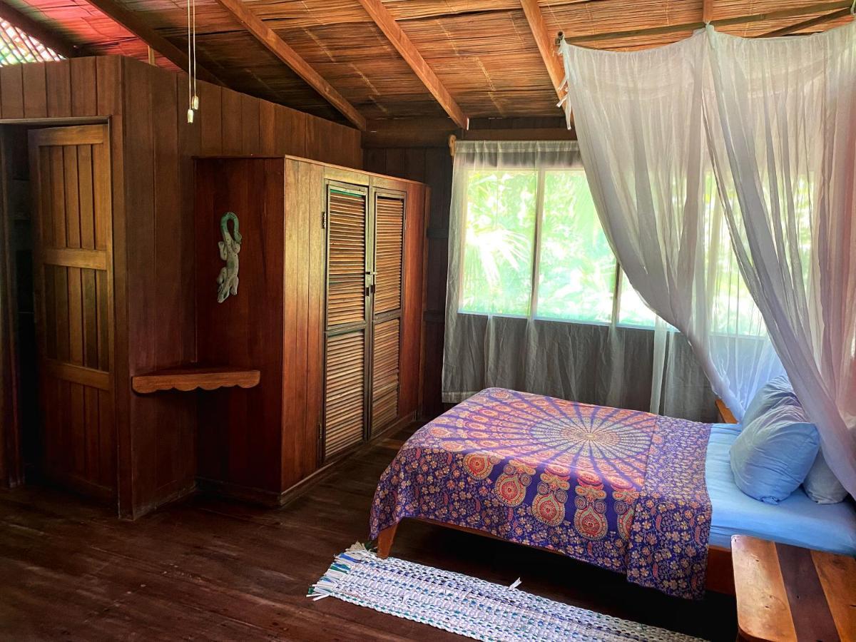 Ocean Forest Ecolodge San Pedrillo المظهر الخارجي الصورة