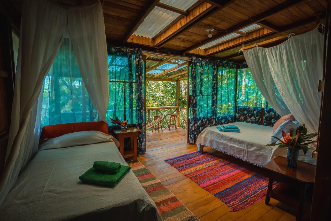 Ocean Forest Ecolodge San Pedrillo المظهر الخارجي الصورة
