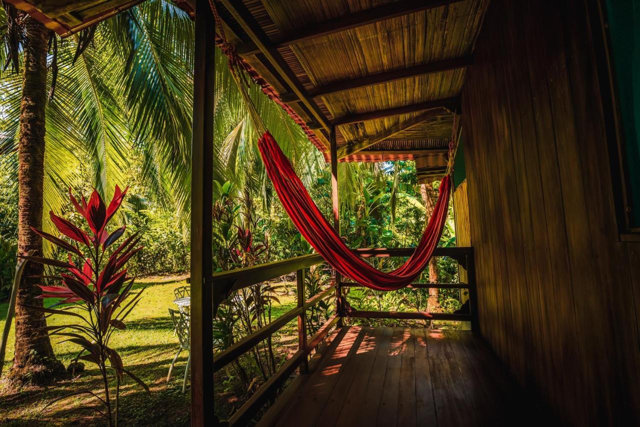 Ocean Forest Ecolodge San Pedrillo المظهر الخارجي الصورة