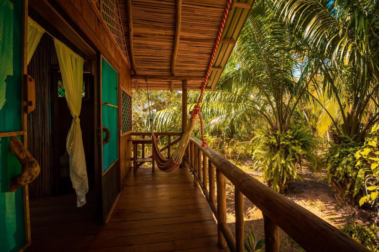 Ocean Forest Ecolodge San Pedrillo المظهر الخارجي الصورة