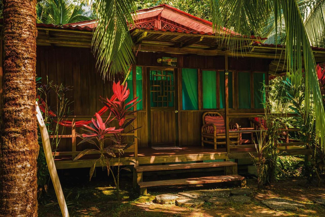 Ocean Forest Ecolodge San Pedrillo المظهر الخارجي الصورة