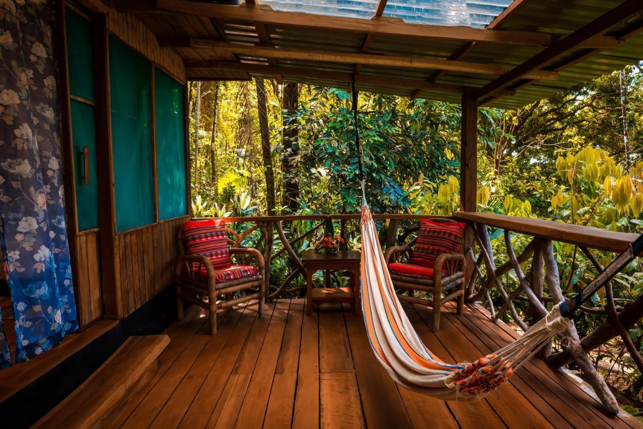 Ocean Forest Ecolodge San Pedrillo المظهر الخارجي الصورة