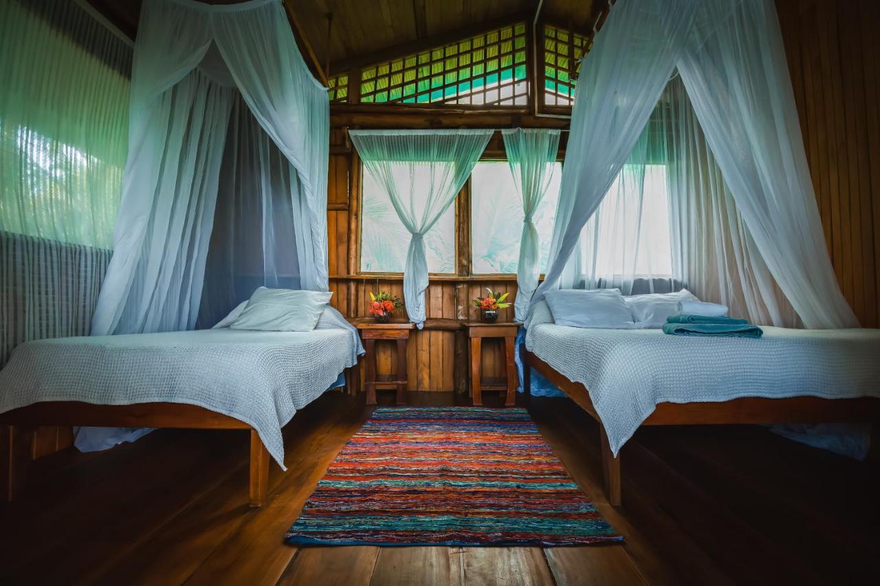 Ocean Forest Ecolodge San Pedrillo المظهر الخارجي الصورة