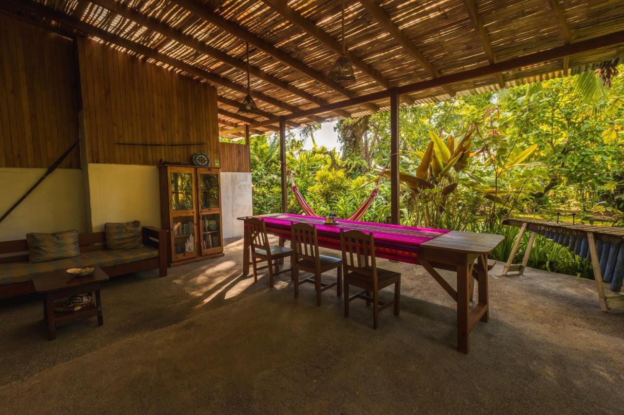 Ocean Forest Ecolodge San Pedrillo المظهر الخارجي الصورة