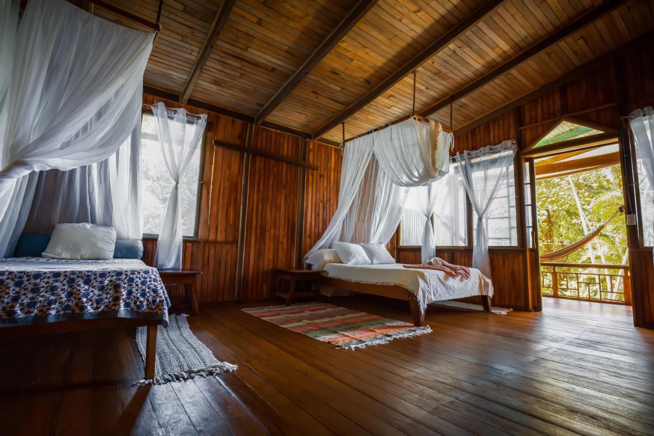 Ocean Forest Ecolodge San Pedrillo المظهر الخارجي الصورة