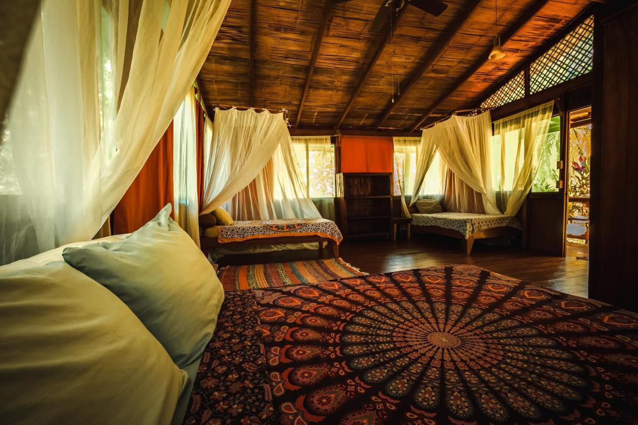 Ocean Forest Ecolodge San Pedrillo المظهر الخارجي الصورة