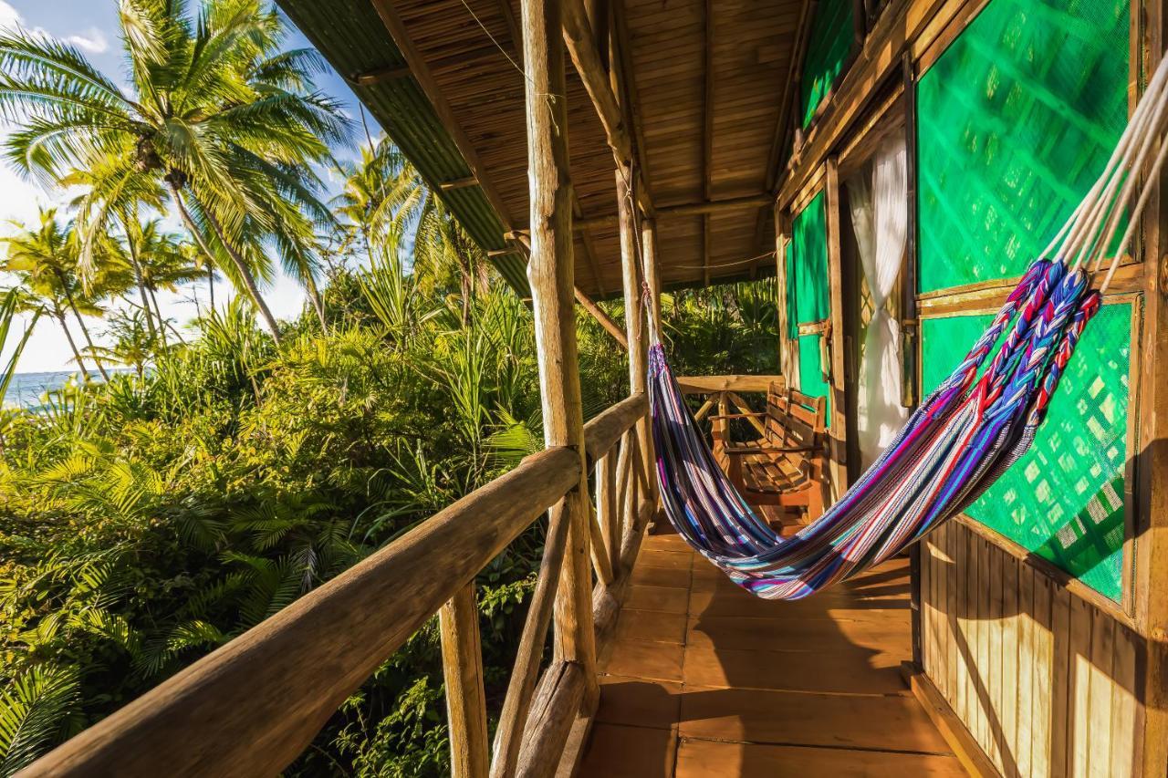 Ocean Forest Ecolodge San Pedrillo المظهر الخارجي الصورة
