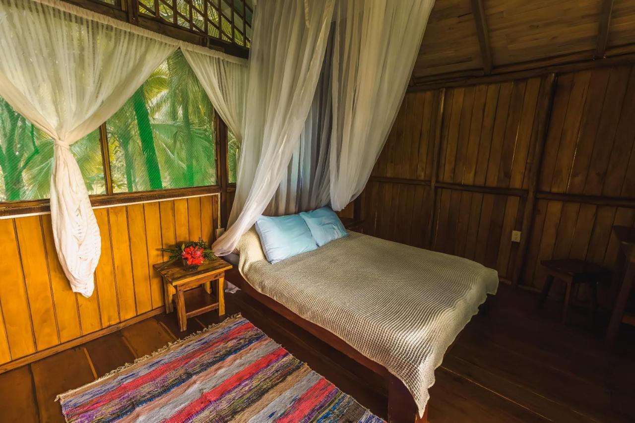 Ocean Forest Ecolodge San Pedrillo المظهر الخارجي الصورة