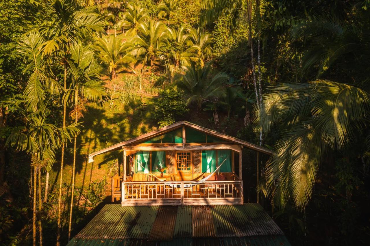 Ocean Forest Ecolodge San Pedrillo المظهر الخارجي الصورة
