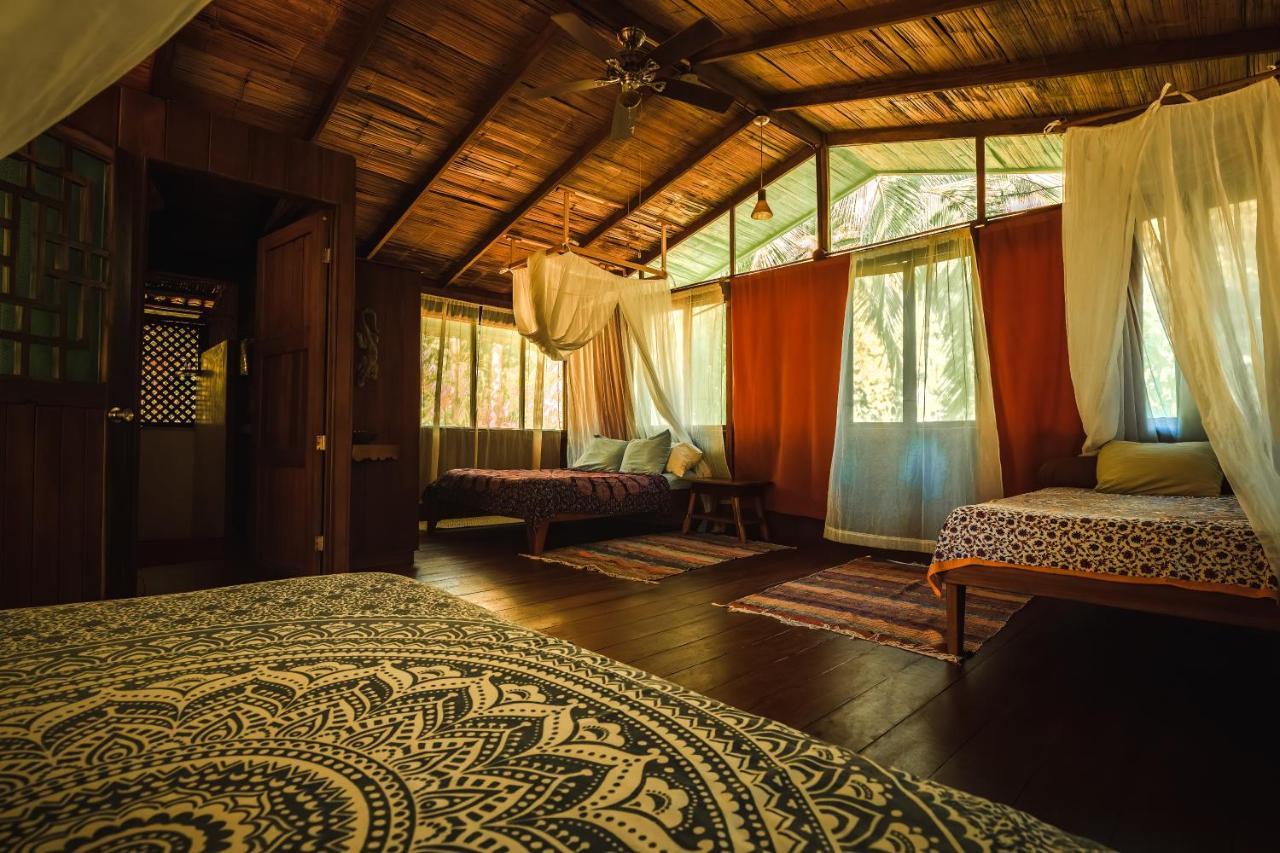 Ocean Forest Ecolodge San Pedrillo المظهر الخارجي الصورة