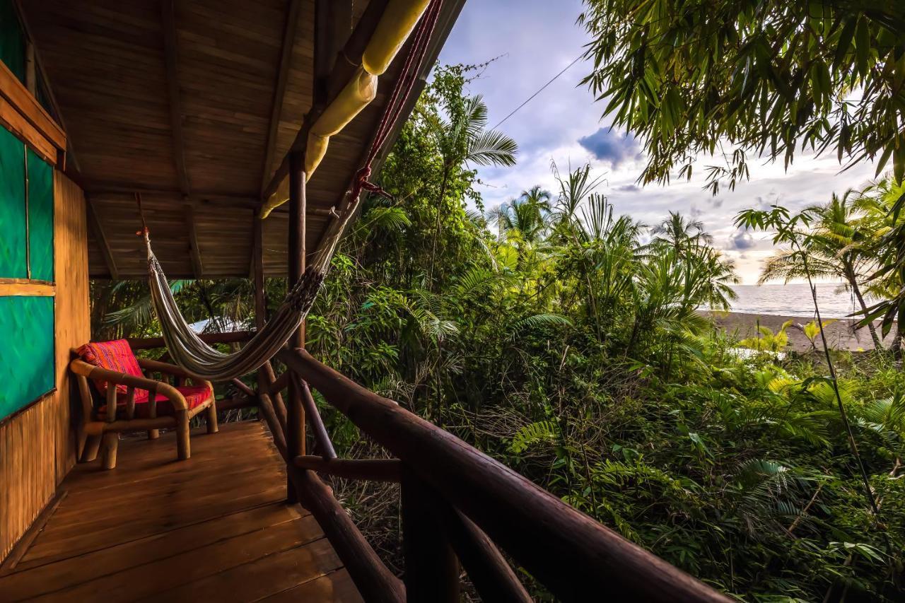 Ocean Forest Ecolodge San Pedrillo المظهر الخارجي الصورة