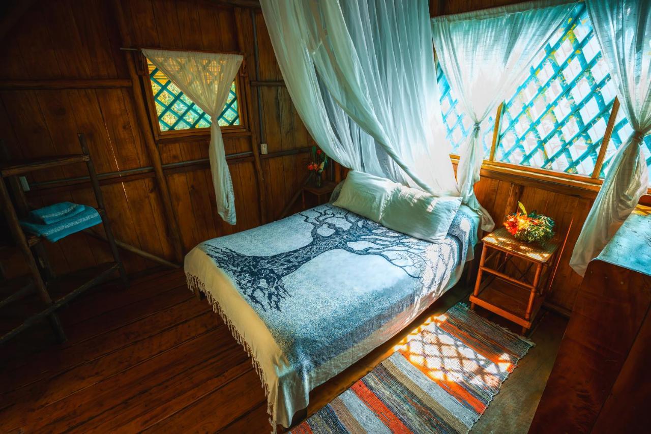 Ocean Forest Ecolodge San Pedrillo المظهر الخارجي الصورة