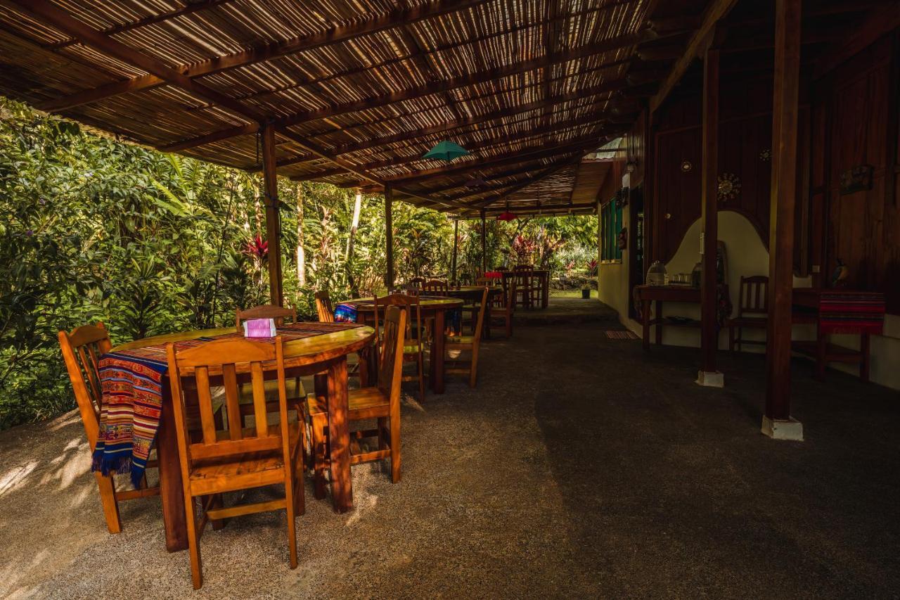 Ocean Forest Ecolodge San Pedrillo المظهر الخارجي الصورة