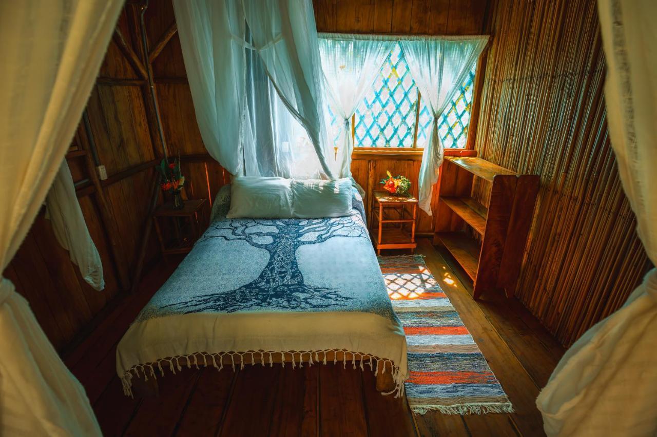 Ocean Forest Ecolodge San Pedrillo المظهر الخارجي الصورة