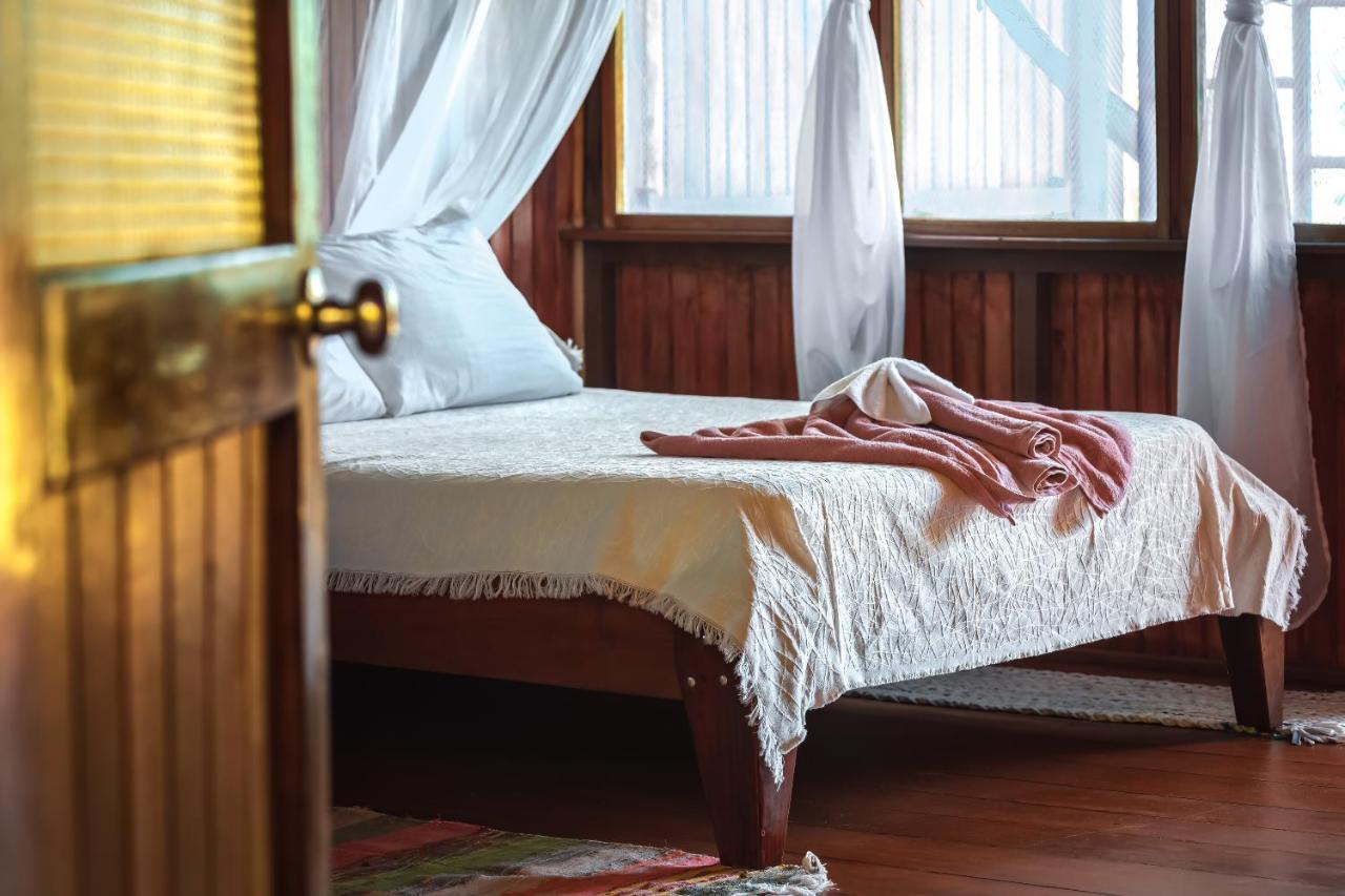 Ocean Forest Ecolodge San Pedrillo المظهر الخارجي الصورة