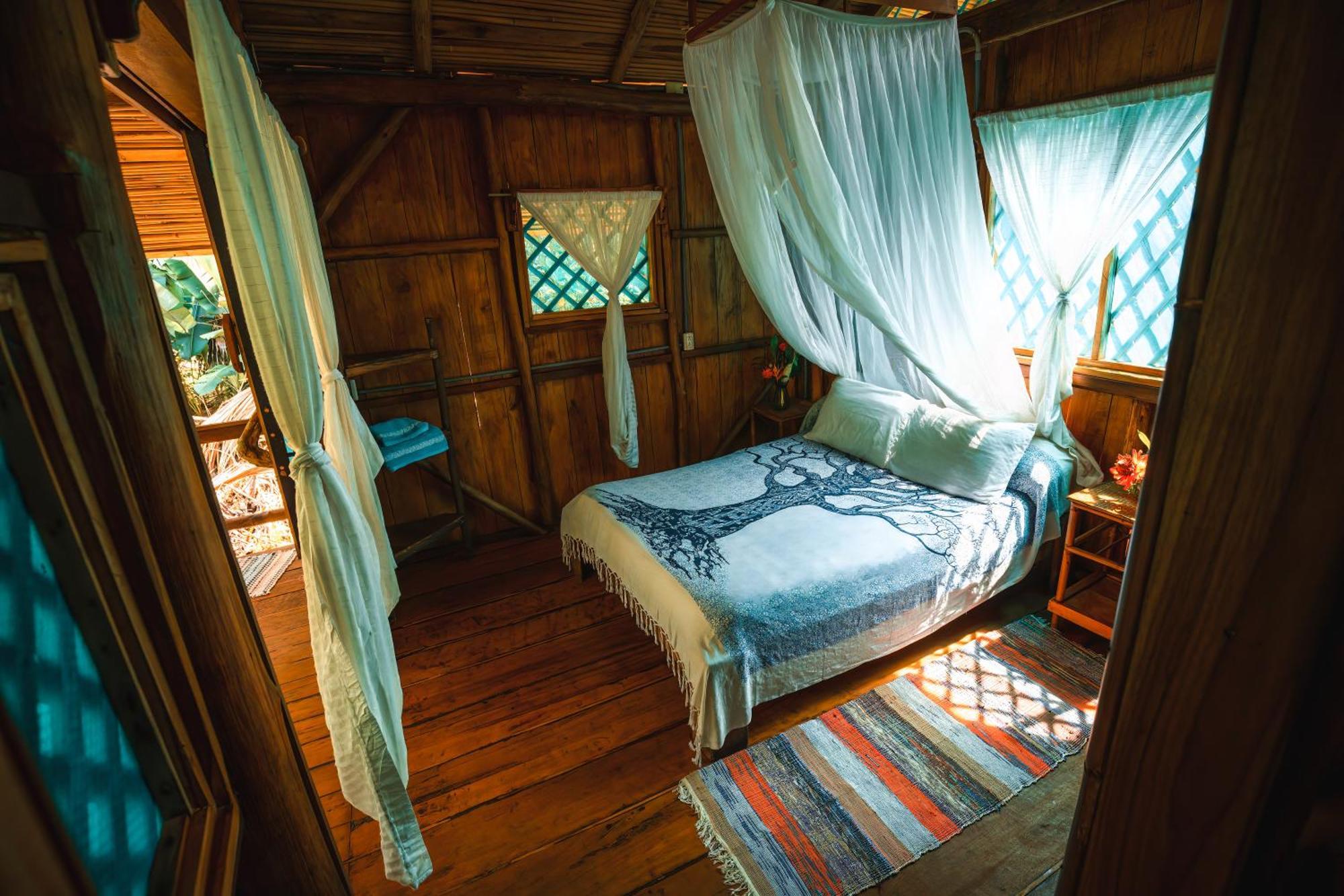 Ocean Forest Ecolodge San Pedrillo المظهر الخارجي الصورة