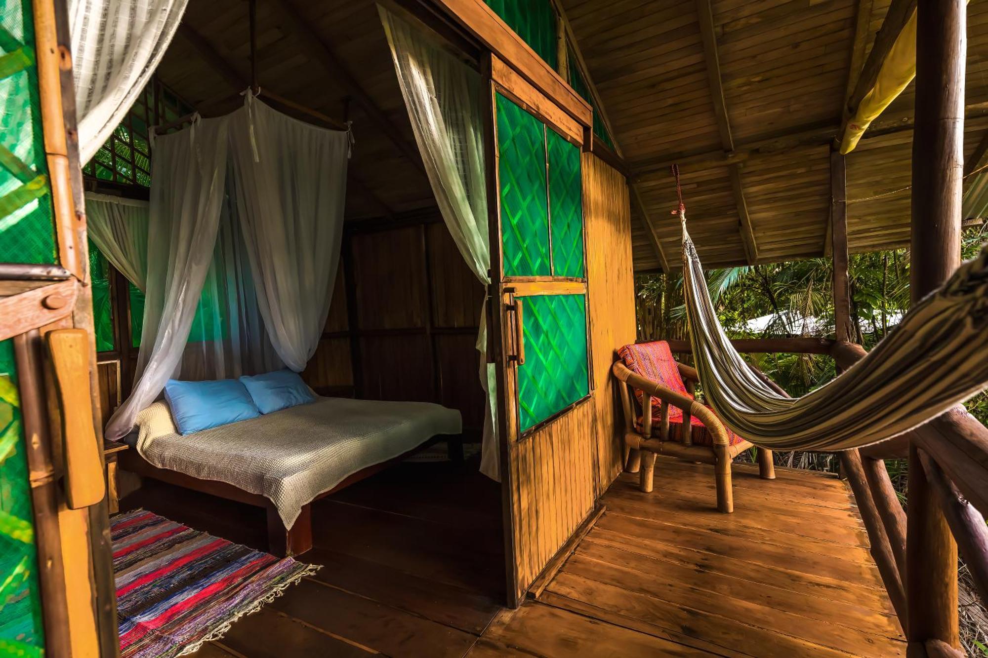 Ocean Forest Ecolodge San Pedrillo المظهر الخارجي الصورة