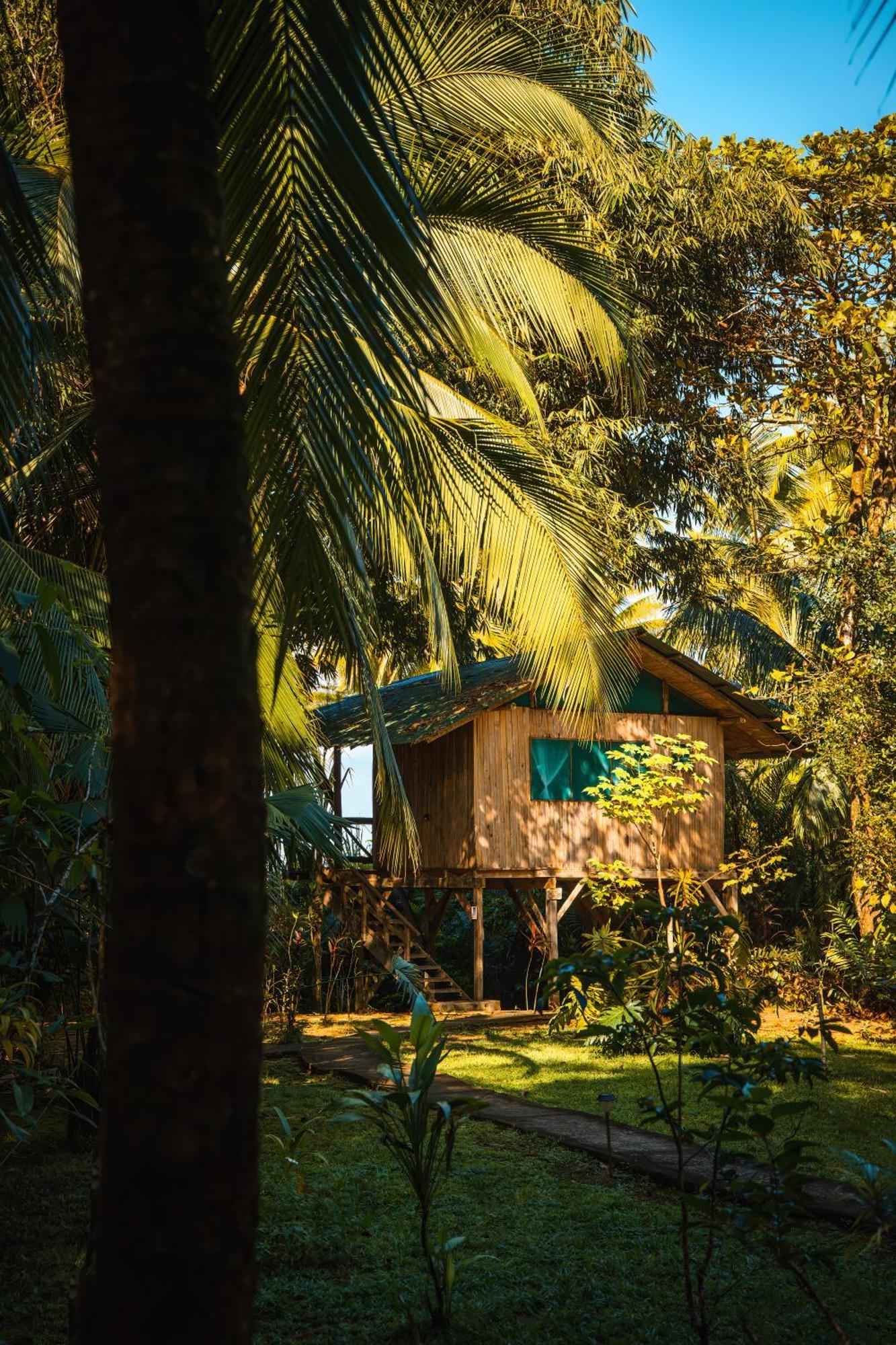 Ocean Forest Ecolodge San Pedrillo المظهر الخارجي الصورة