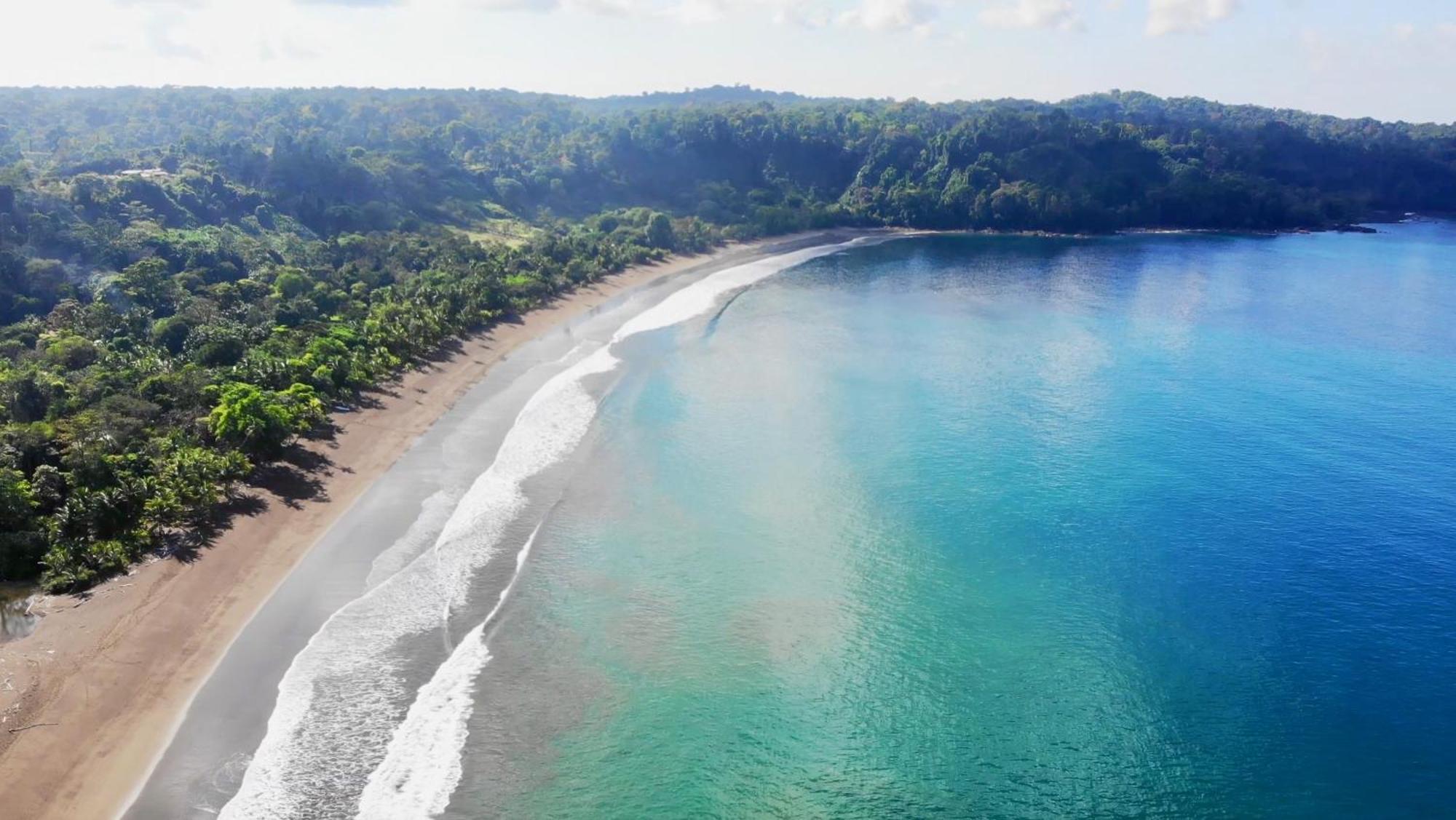 Ocean Forest Ecolodge San Pedrillo المظهر الخارجي الصورة