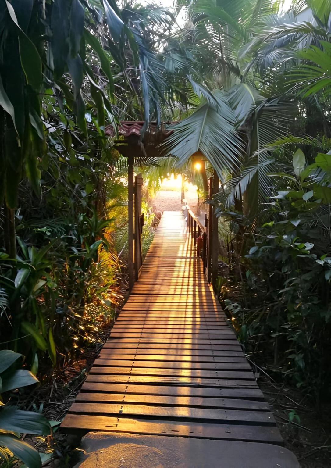 Ocean Forest Ecolodge San Pedrillo المظهر الخارجي الصورة