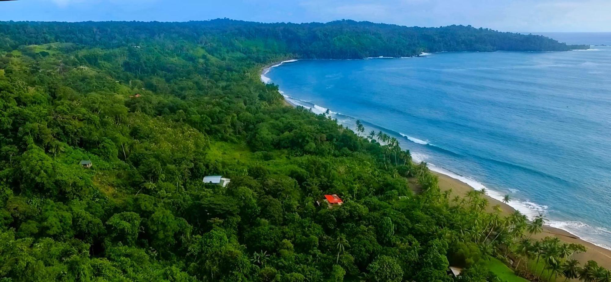 Ocean Forest Ecolodge San Pedrillo المظهر الخارجي الصورة
