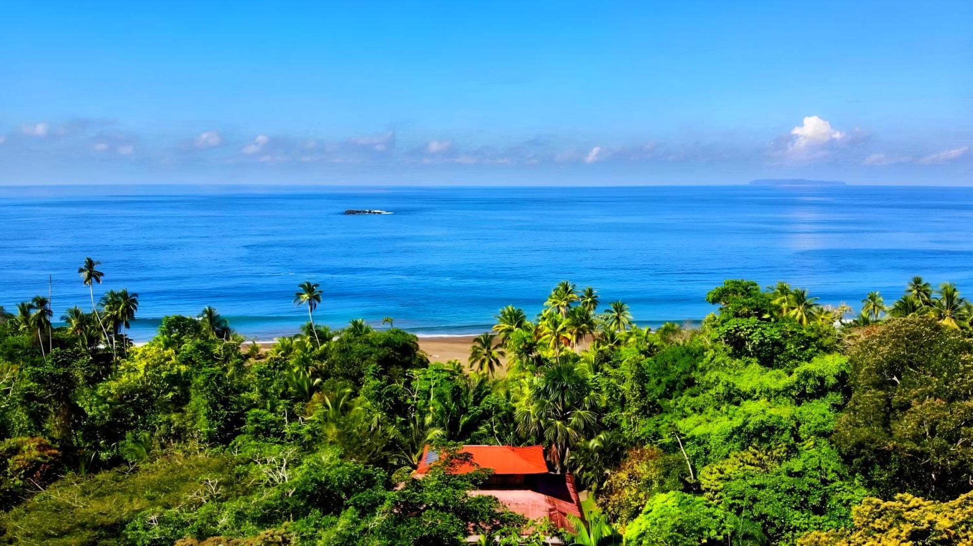 Ocean Forest Ecolodge San Pedrillo المظهر الخارجي الصورة