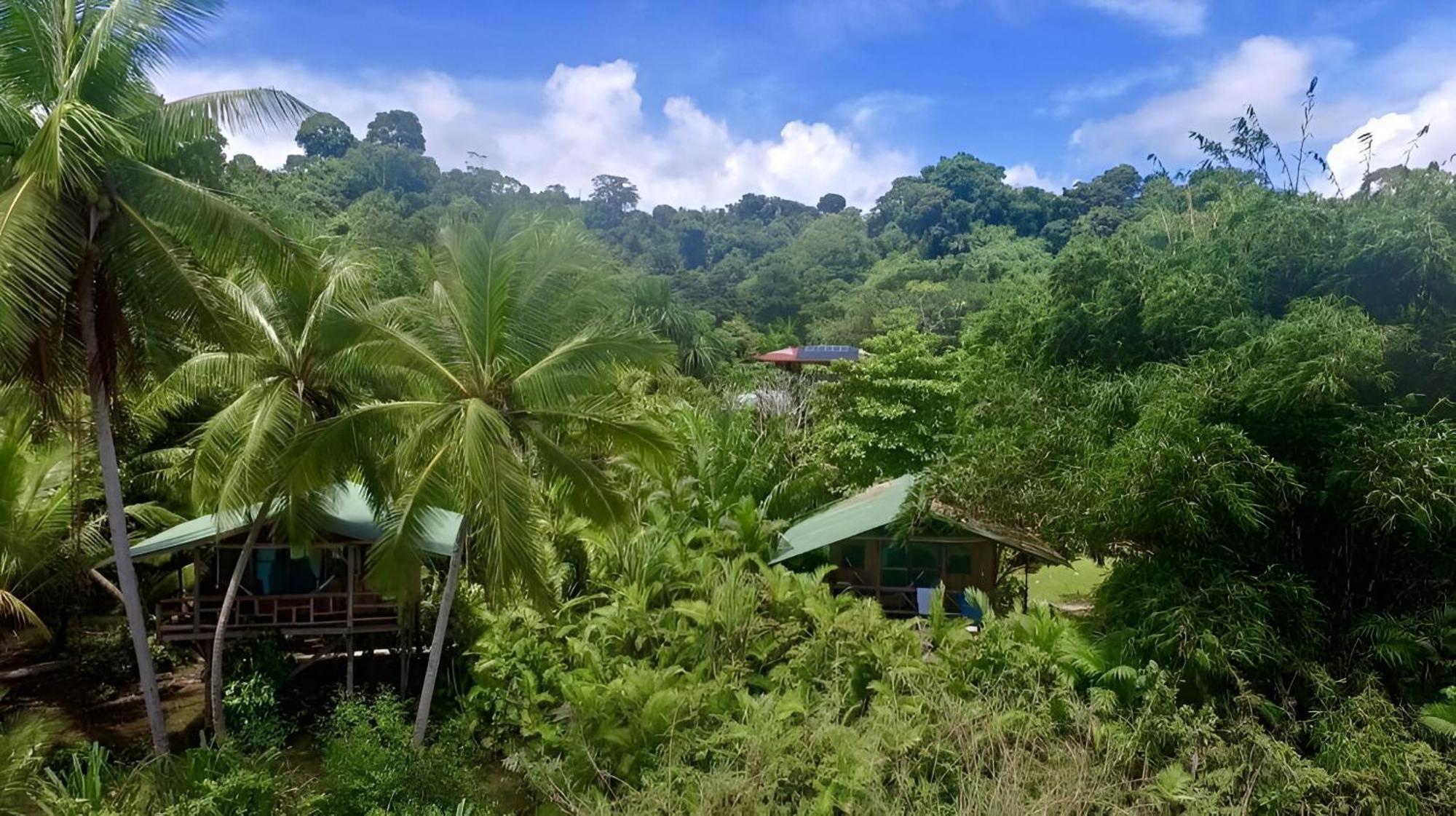Ocean Forest Ecolodge San Pedrillo المظهر الخارجي الصورة
