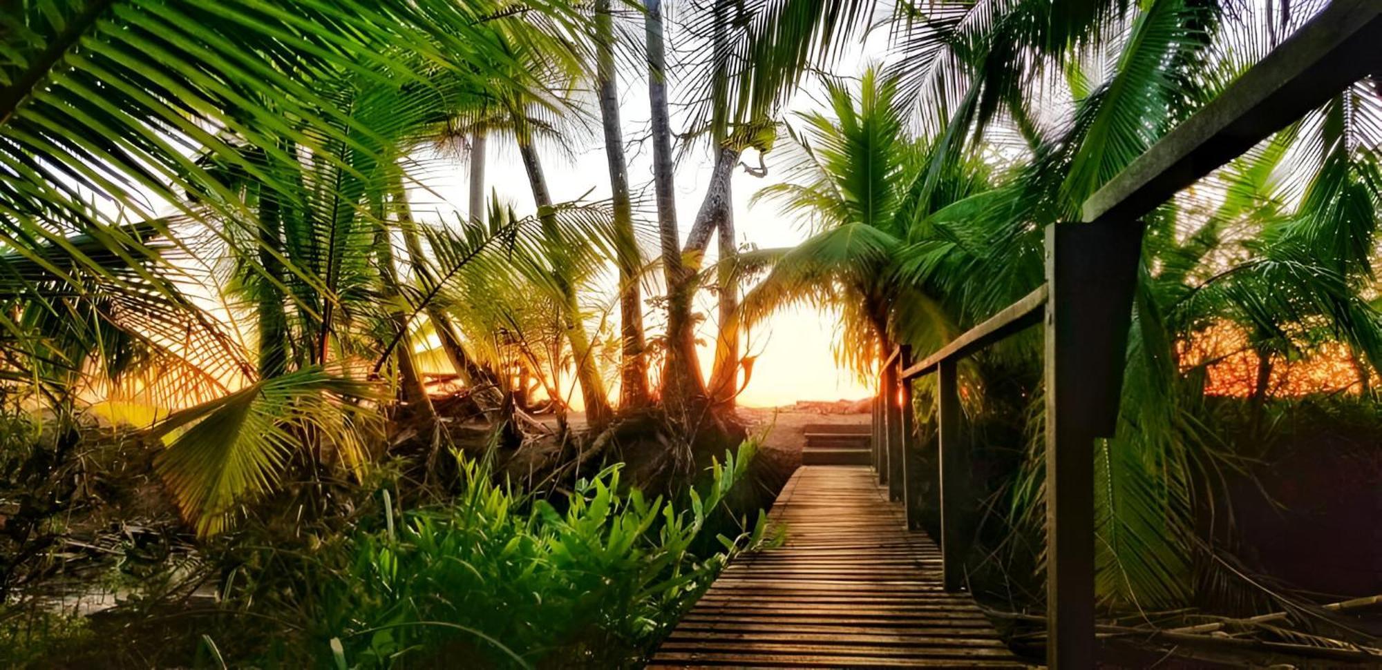Ocean Forest Ecolodge San Pedrillo المظهر الخارجي الصورة