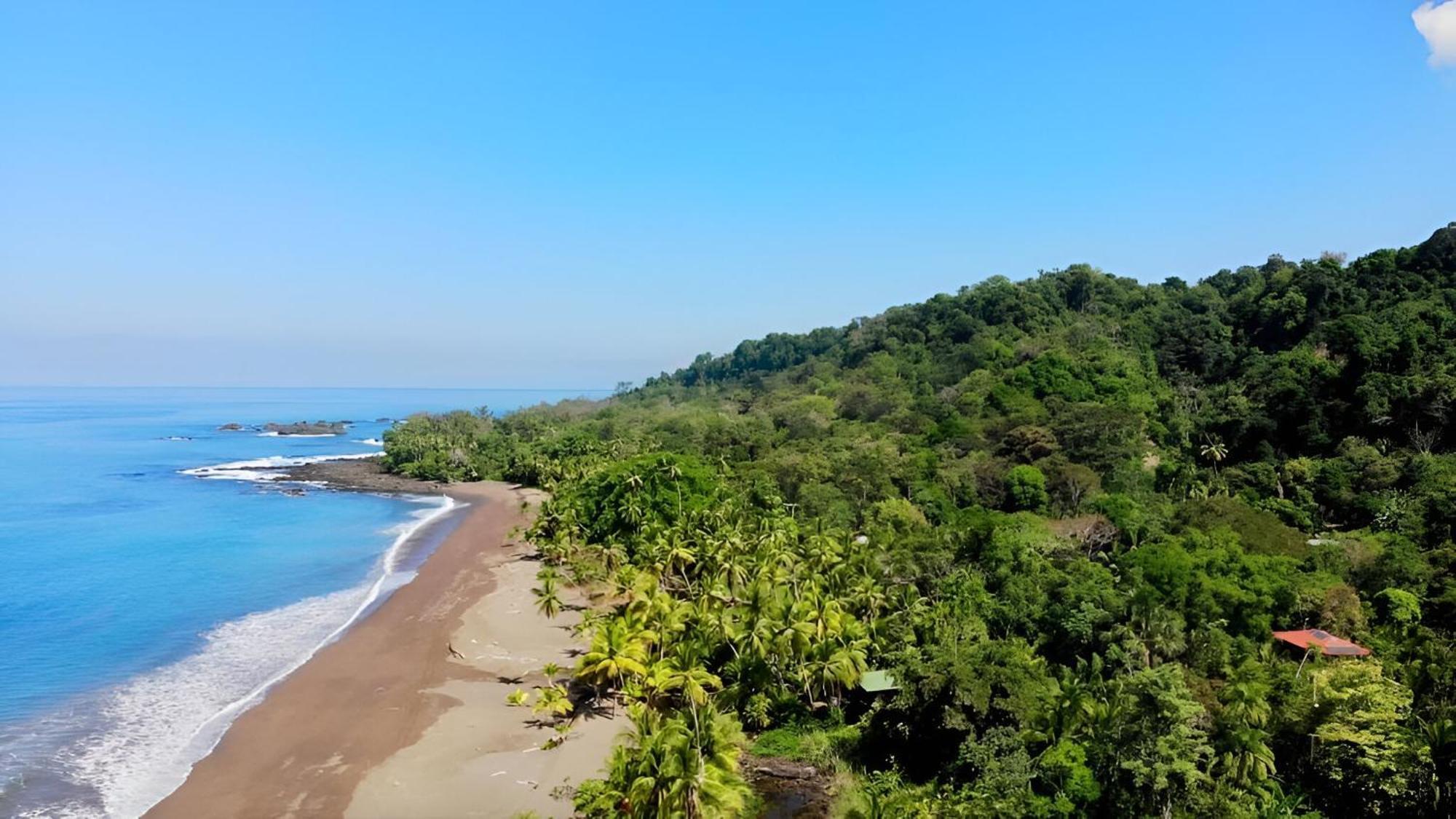 Ocean Forest Ecolodge San Pedrillo المظهر الخارجي الصورة
