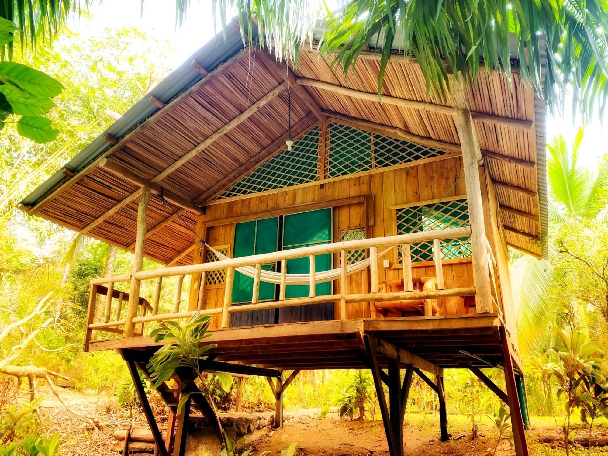 Ocean Forest Ecolodge San Pedrillo المظهر الخارجي الصورة